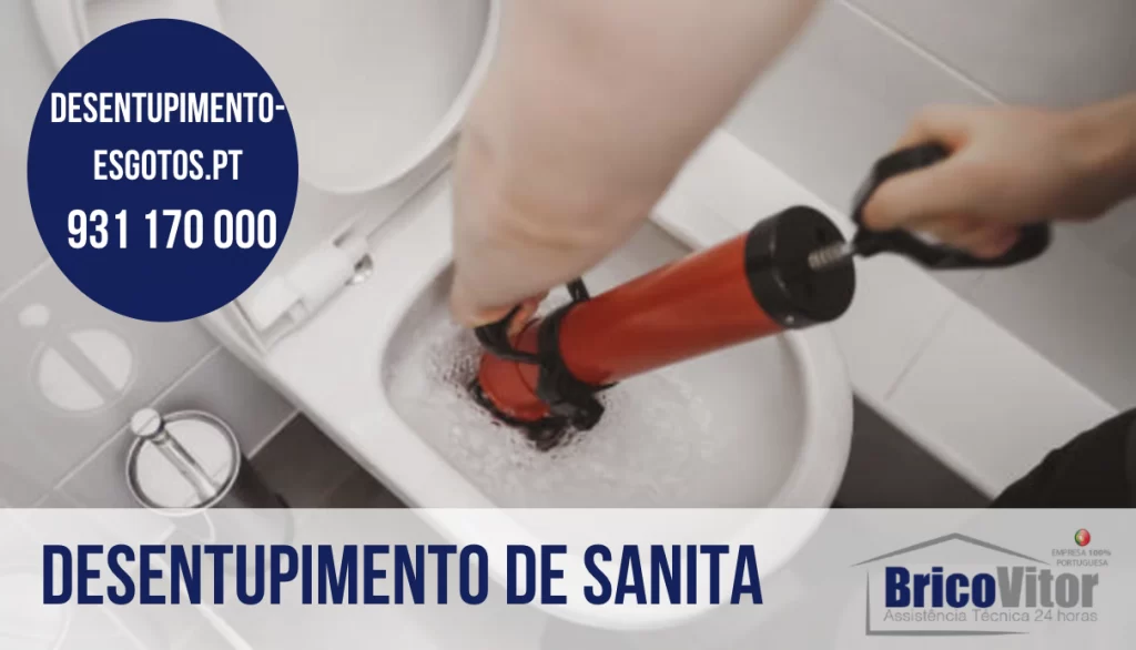 Desentupimento-de-Sanita-Vinhós