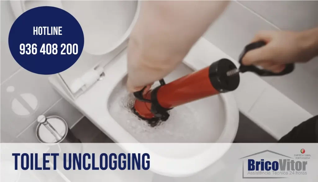 Vila Nova de Famalicão toilet unclogging
